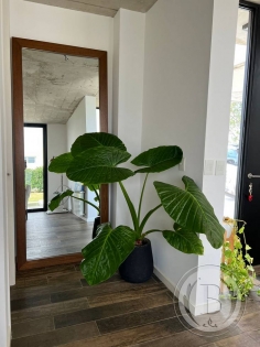 Alquiler Amoblado de Casa en El Cantón en El Cantón, Escobar — Foto 6
