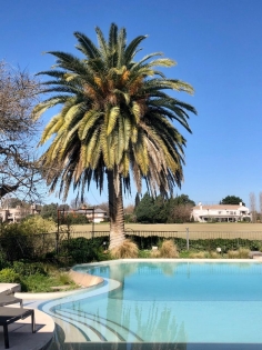 Alquiler Anual de Casa en Tortugas en Tortugas, Pilar — Foto 3