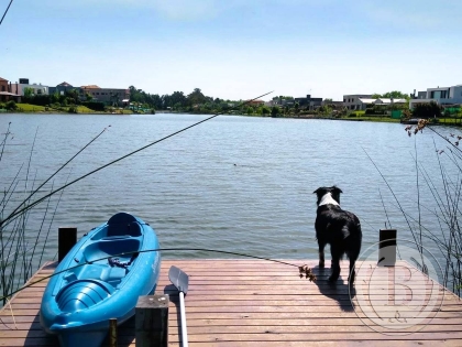 Alquiler Dic-Enero de Casa en San Benito en San Benito, Tigre — Foto 6