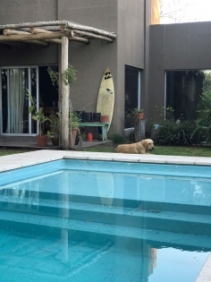 Alquiler Diciembre de Casa en Senderos II en Senderos II, Pilar — Foto 1