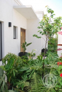 Alquiler Enero de Casa en San Rafael en San Rafael, Tigre — Foto 3