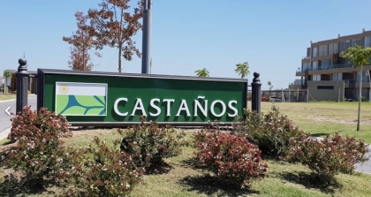 Foto de Castaños - Tigre