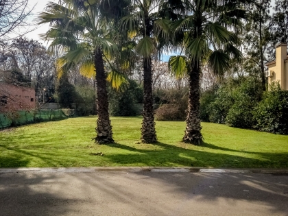 Foto de La Pradera I - Pilar
