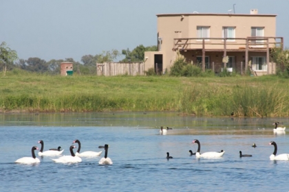 Foto de San Benito - Tigre