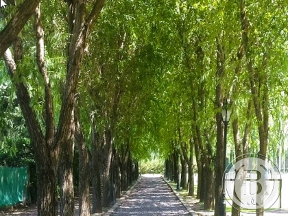 Foto de Valle Claro - Tigre