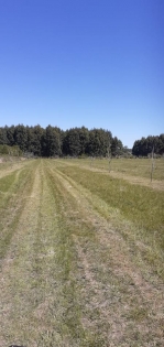 Venta de Campo en San Jose en San Jose, Entre Ríos — Foto 2