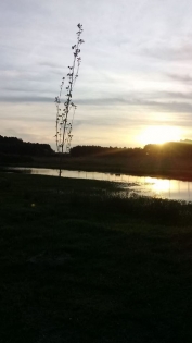Venta de Campo en San Jose en San Jose, Entre Ríos — Foto 1