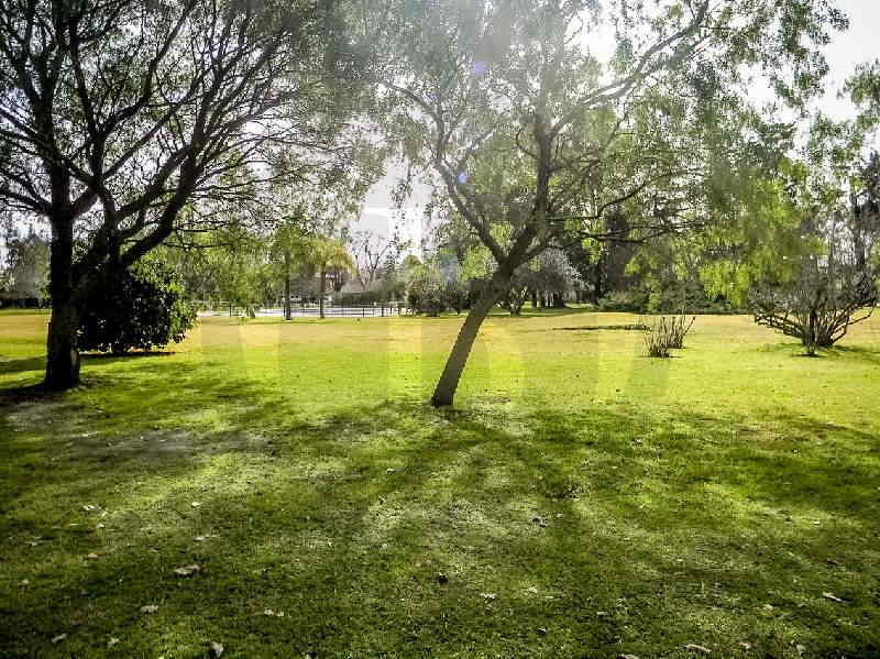 Venta de Casa en La Peregrina en La Peregrina, Pilar — Foto 6