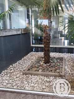 Venta de Casa en San Agustin en San Agustin, Tigre — Foto 6