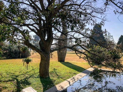 Venta de Casa en Tortugas en Tortugas, Pilar — Foto 2