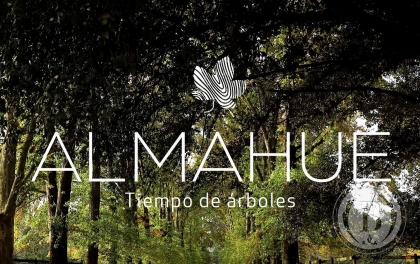 Venta de Lote en Almahue en Almahue, Pilar — Foto 1