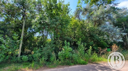 Venta de Lote en Benavidez (abierto) en Benavidez (abierto), Tigre — Foto 2
