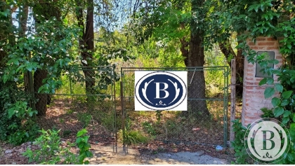Venta de Lote en Benavidez (abierto) en Benavidez (abierto), Tigre — Foto 3