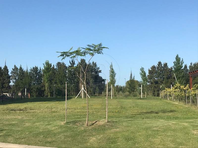 Venta de Lote en Castaños en Castaños, Tigre — Foto 6