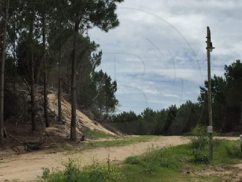 Venta de Lote en Costa Esmeralda en Costa Esmeralda, Pinamar — Foto 2