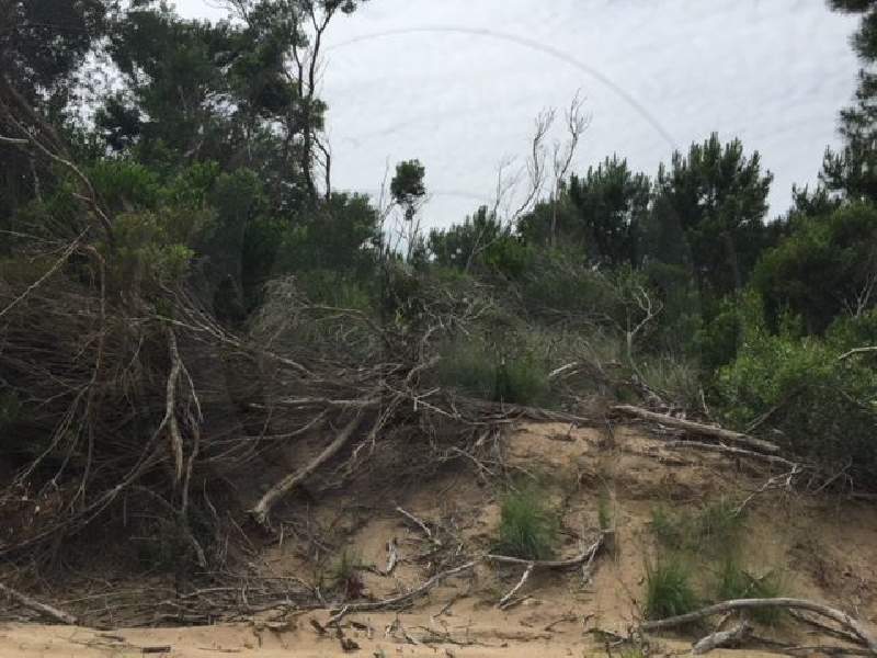 Venta de Lote en Costa Esmeralda en Costa Esmeralda, Pinamar — Foto 3