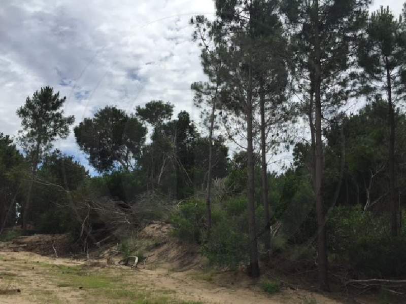 Venta de Lote en Costa Esmeralda en Costa Esmeralda, Pinamar — Foto 4
