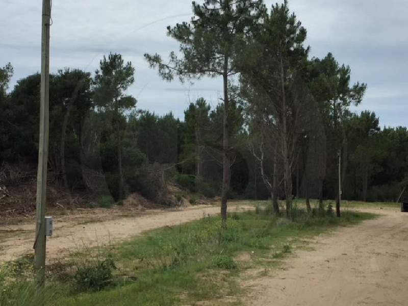 Venta de Lote en Costa Esmeralda en Costa Esmeralda, Pinamar — Foto 6