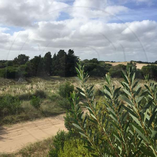 Venta de Lote en Costa Esmeralda en Costa Esmeralda, Pinamar — Foto 2