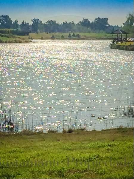 Venta de Lote en La Reserva en La Reserva, Pilar — Foto 1
