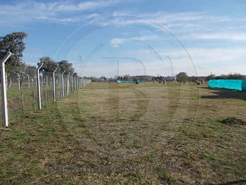 Venta de Lote en Pilar del Este en Pilar del Este, Pilar — Foto 3