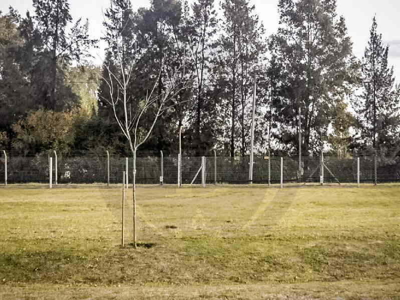 Venta de Lote en Pilar del Este en Pilar del Este, Pilar — Foto 5