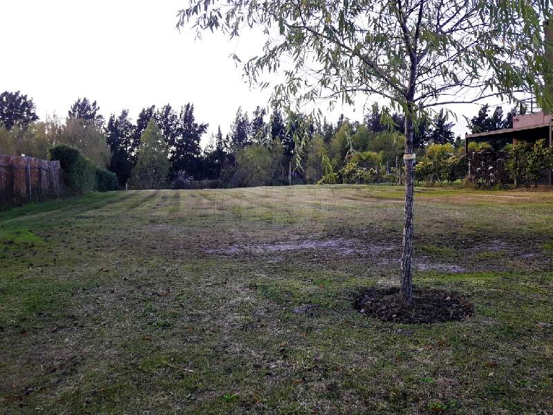 Venta de Lote en San Benito en San Benito, Tigre — Foto 1