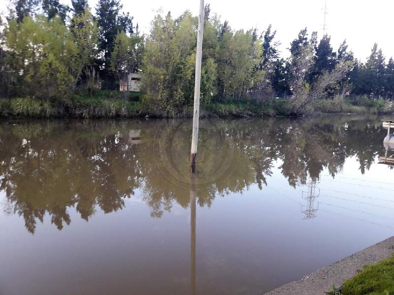 Venta de Lote en San Benito en San Benito, Tigre — Foto 3