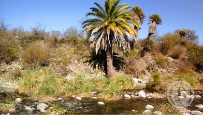 Venta de Lote en San Francisco del Monte de Oro en San Francisco del Monte de Oro, San Luis — Foto 5