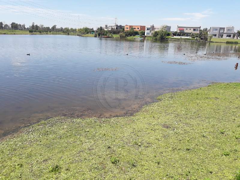 Venta de Lote en San Francisco en San Francisco, Tigre — Foto 5