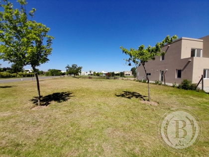 Venta de Lote en San Rafael en San Rafael, Tigre — Foto 5