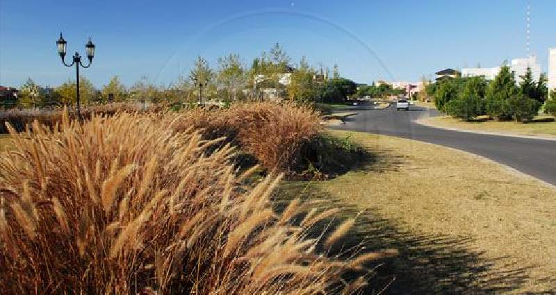 Venta de Lote en Santa Barbara en Santa Barbara, Tigre — Foto 3
