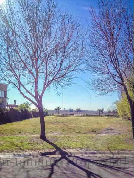 Venta de Lote en Santa Catalina en Santa Catalina, Tigre — Foto 5