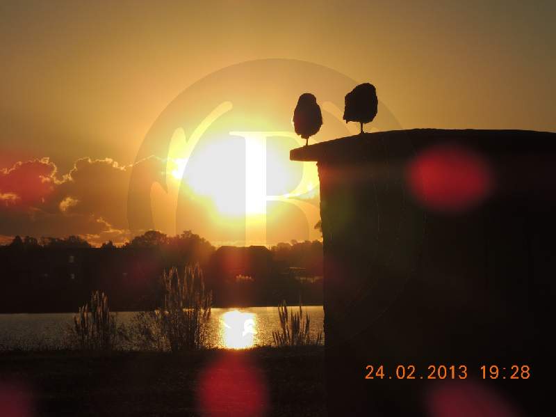 Venta de Lote en Santa Teresa en Santa Teresa, Tigre — Foto 5