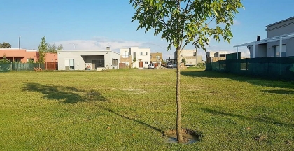 Venta de Lote en Vila Marina en Vila Marina, Tigre — Foto 3